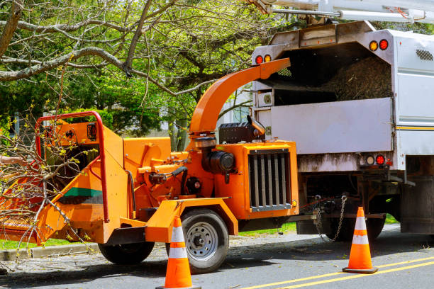 Best Tree Mulching Services  in Fairforest, SC