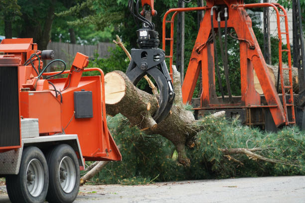 Grass Overseeding in Fairforest, SC